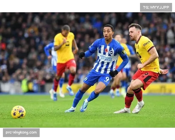 布莱顿与纽卡斯尔联激战成和 双方1-1平分秋色各取一分